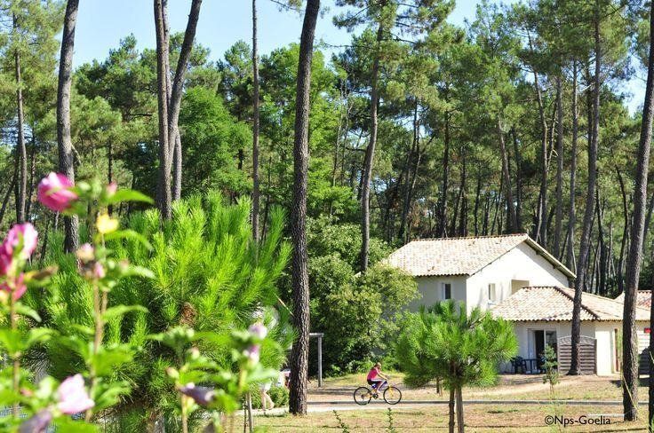 Outdoor Pictures 11