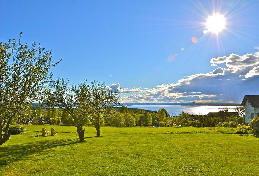 Outdoor Pictures 4