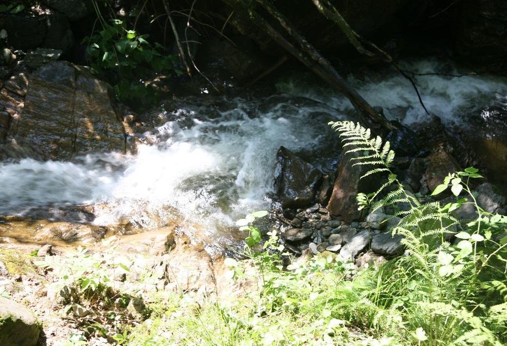 Outdoor Pictures 11