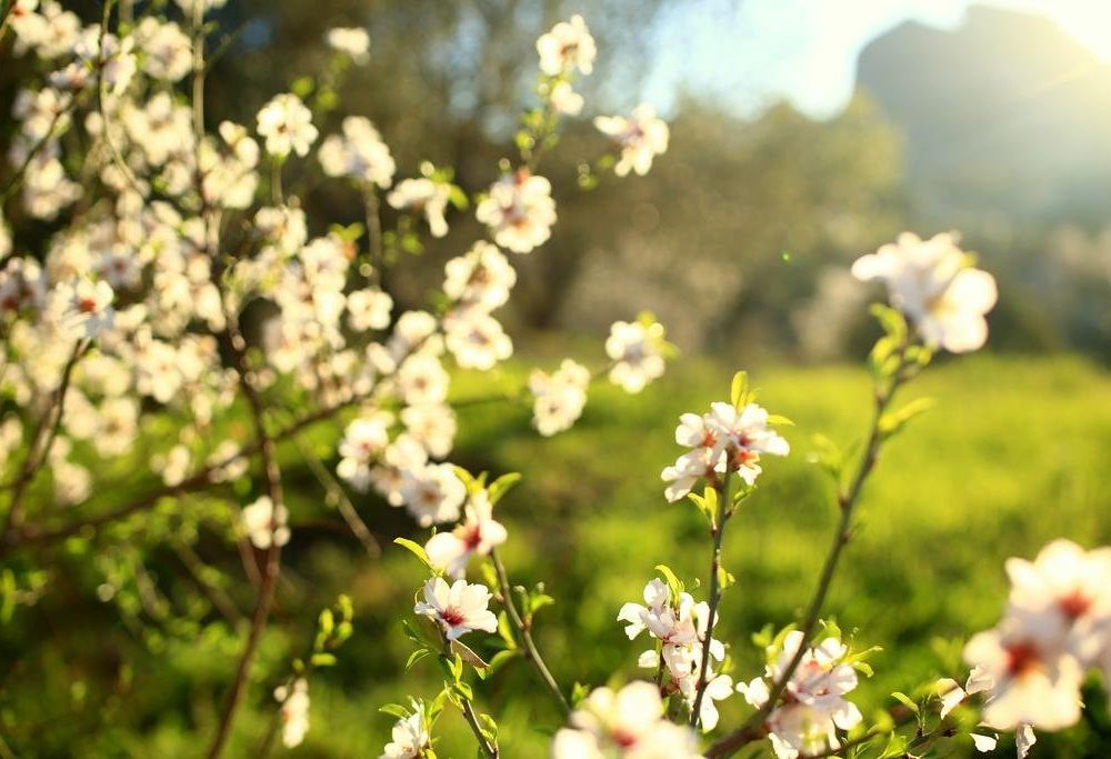 Outdoor Pictures 21