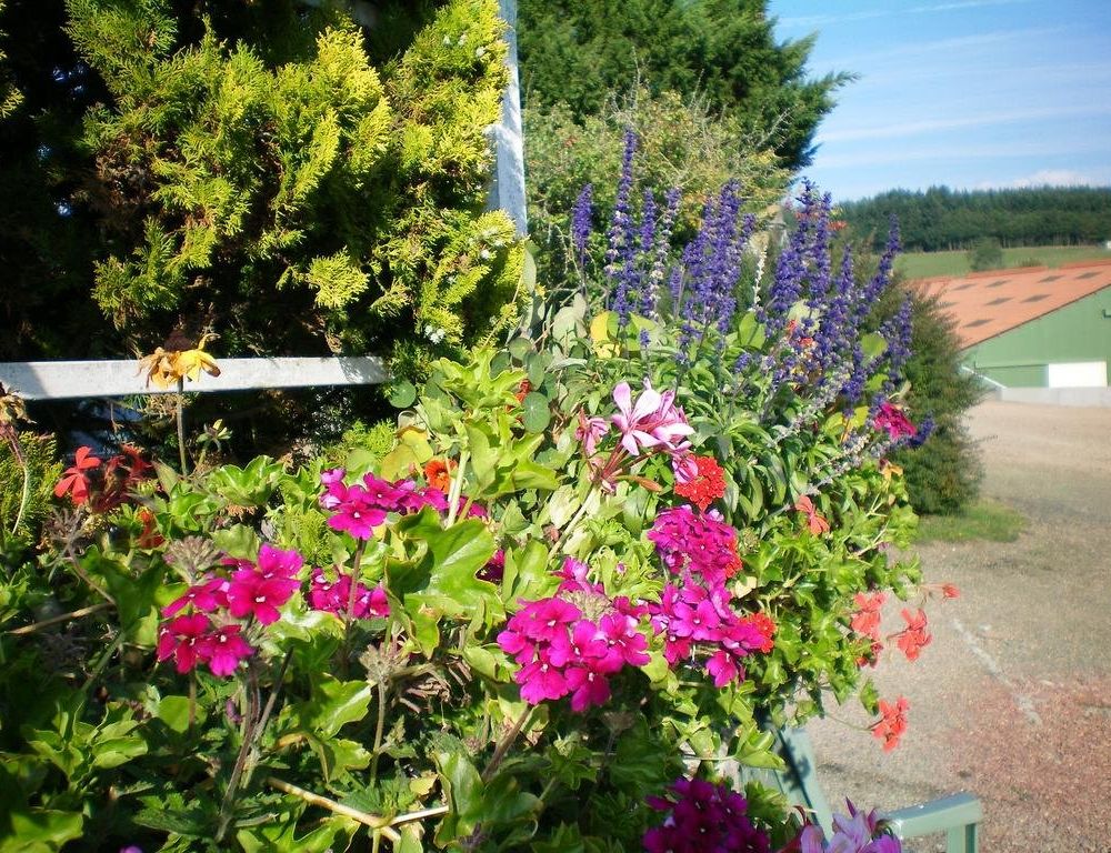 Outdoor Pictures 7