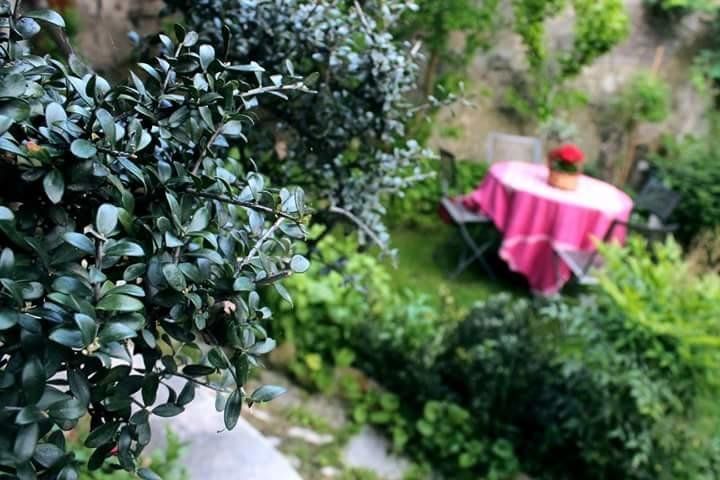 Outdoor Pictures 13