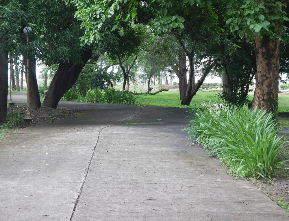 Outdoor Pictures 21