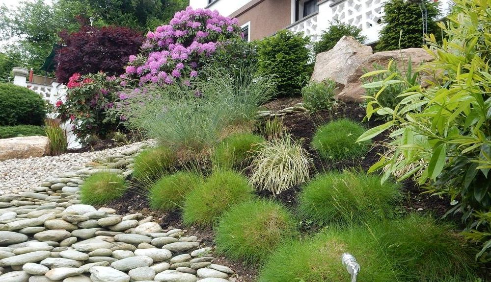 Outdoor Pictures 18