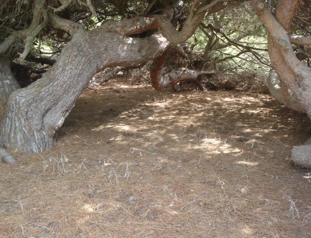 Outdoor Pictures 7