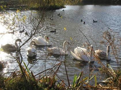 Outdoor Pictures 18
