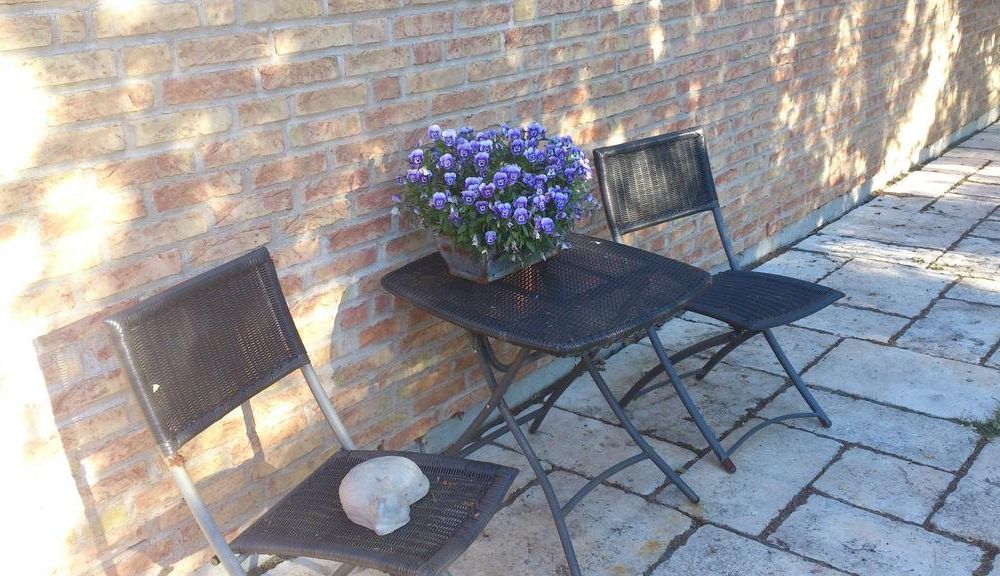 Outdoor Pictures 8