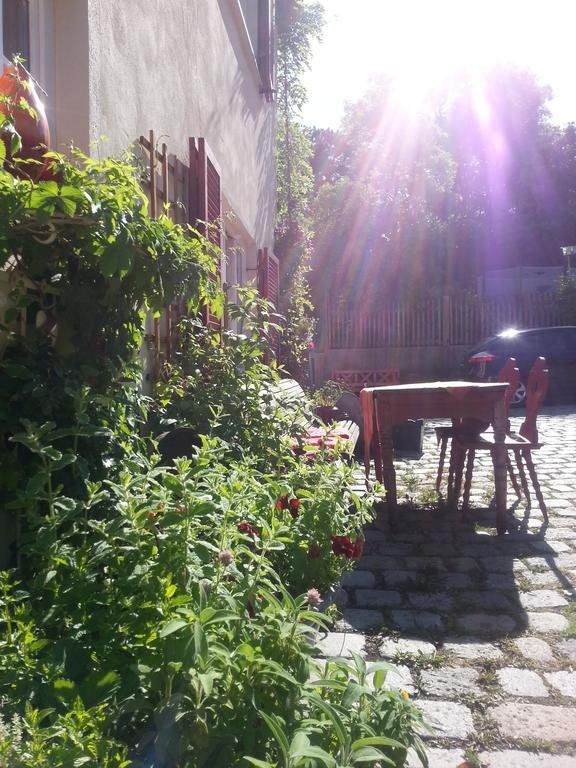 Outdoor Pictures 18