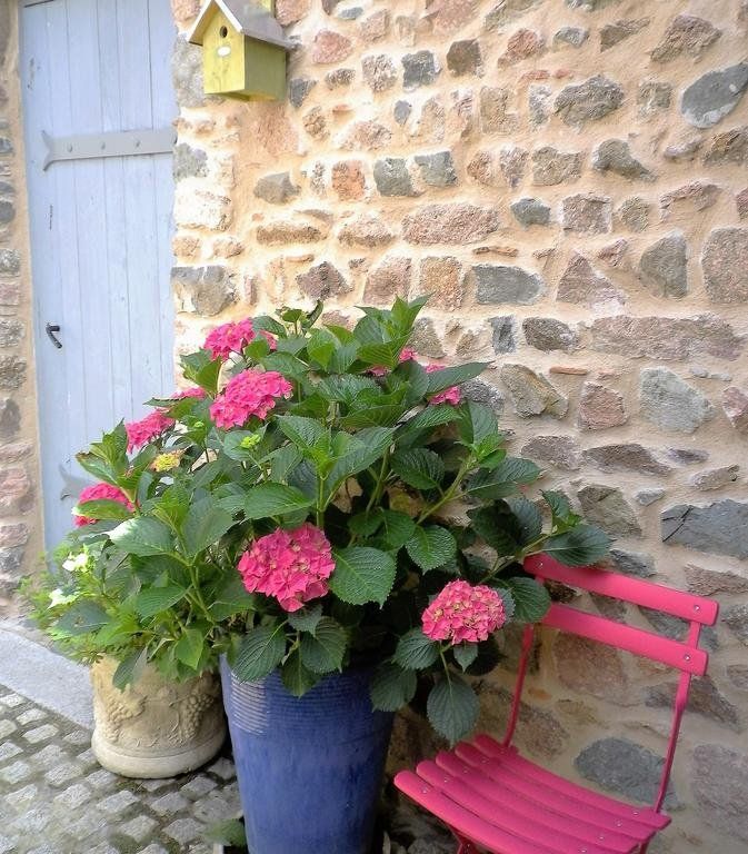 Outdoor Pictures 8