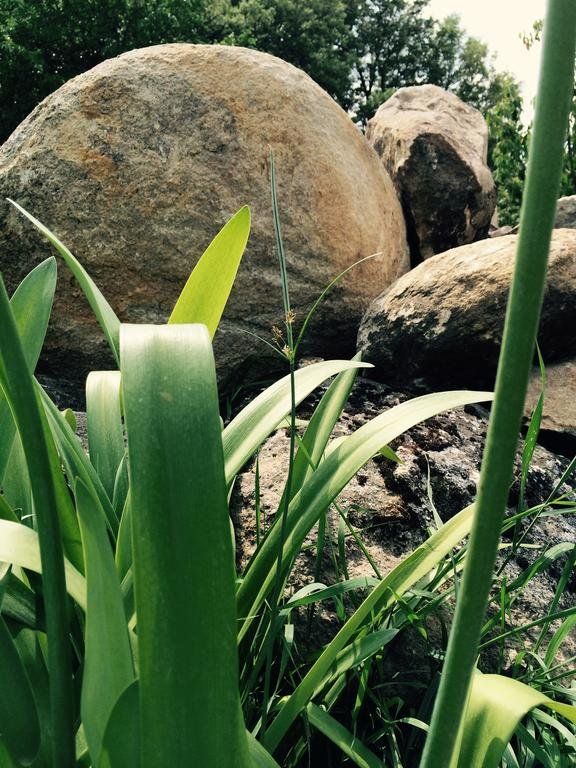 Outdoor Pictures 22