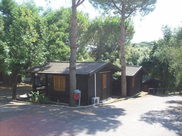 Green Village