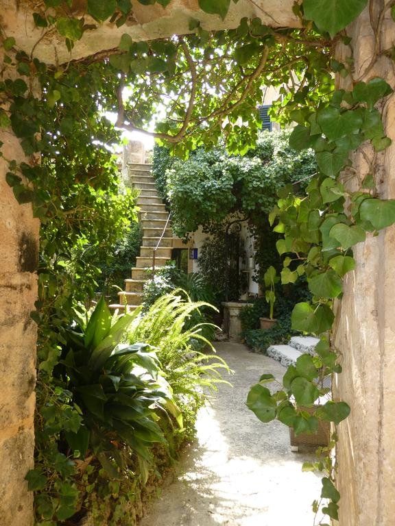 Outdoor Pictures 18