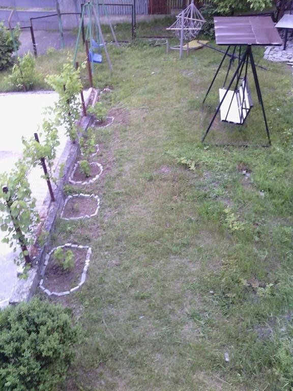 Outdoor Pictures 21