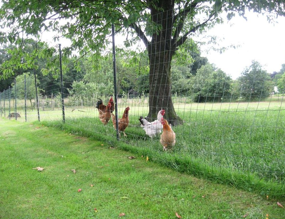 Outdoor Pictures 22
