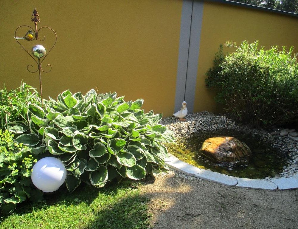 Outdoor Pictures 10