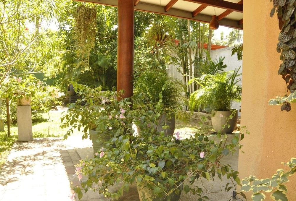 Outdoor Pictures 22