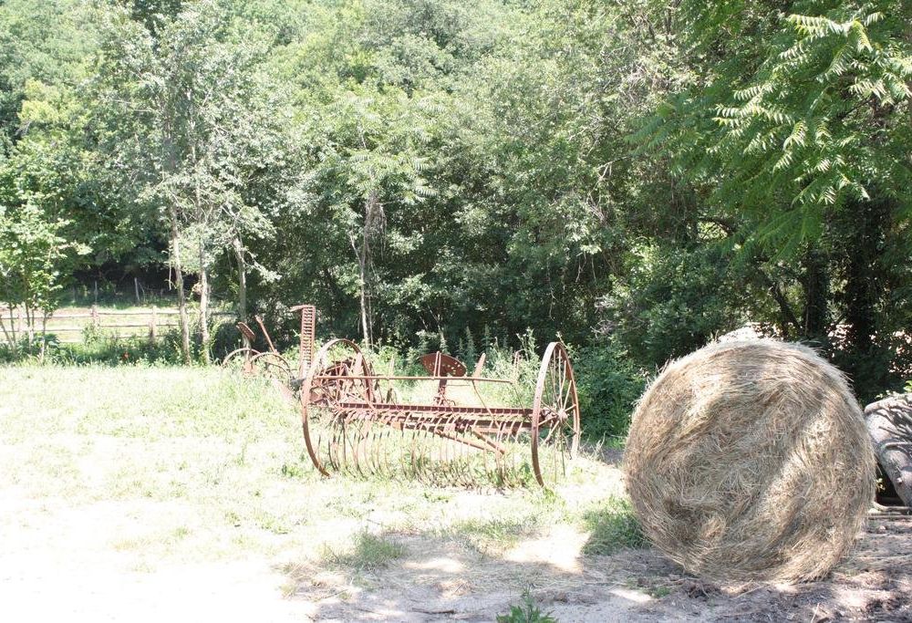 Outdoor Pictures 12