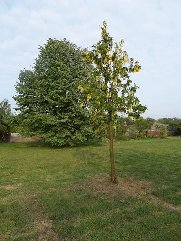 Outdoor Pictures 15