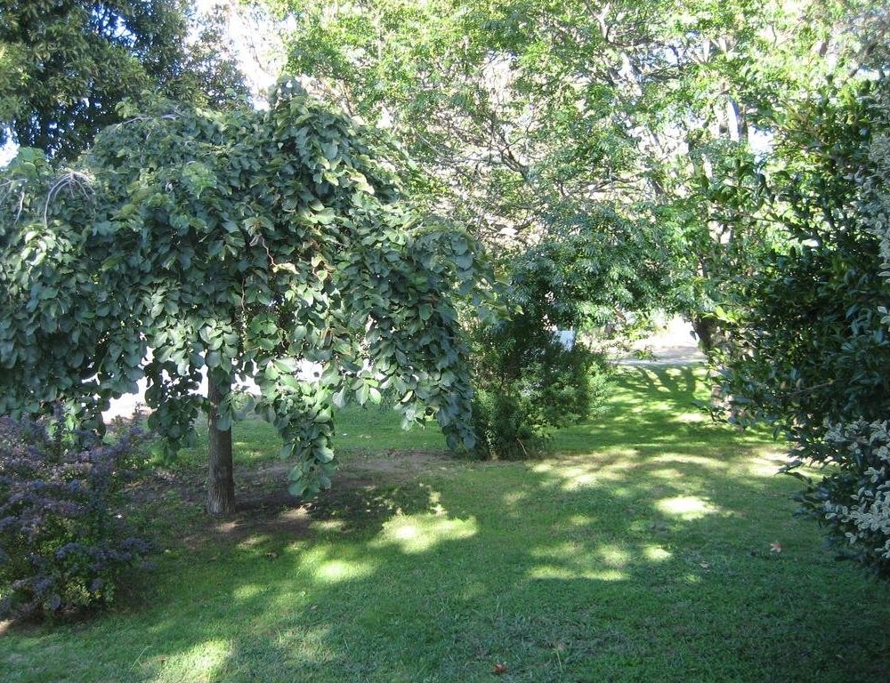 Outdoor Pictures 6