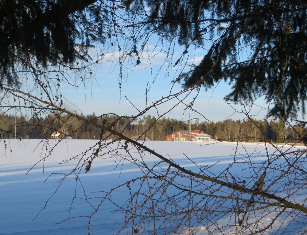 Outdoor Pictures 19