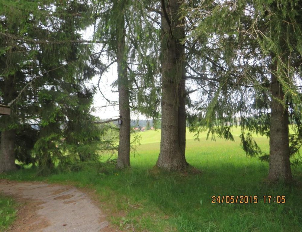 Outdoor Pictures 22