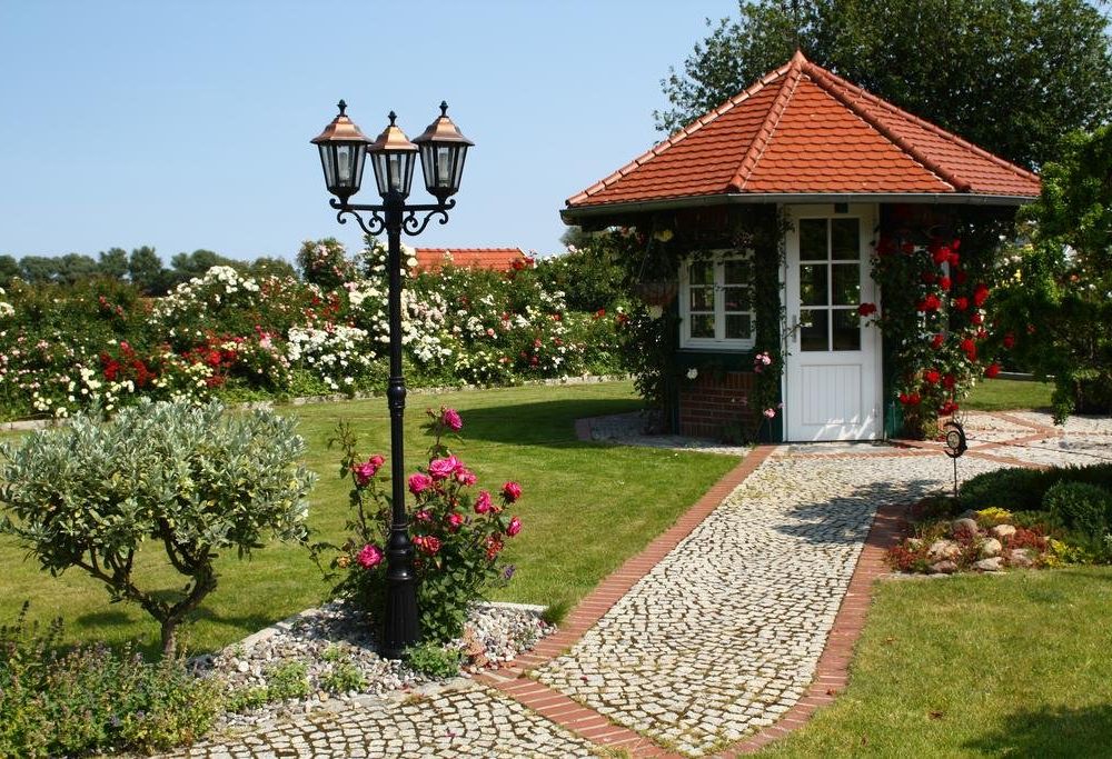 Outdoor Pictures 21