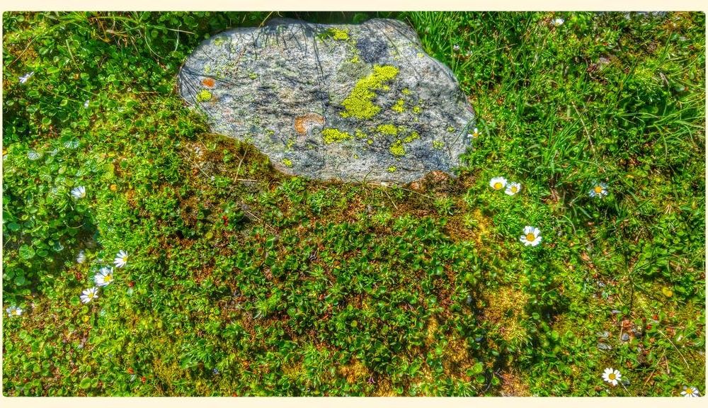 Outdoor Pictures 21