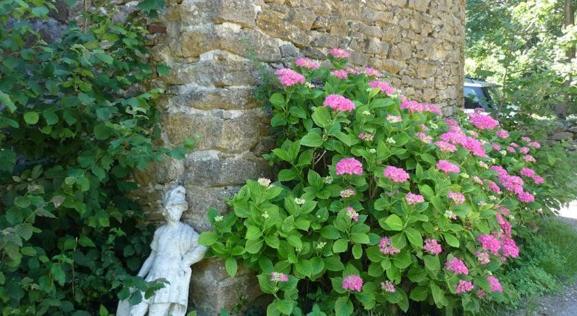 Outdoor Pictures 9