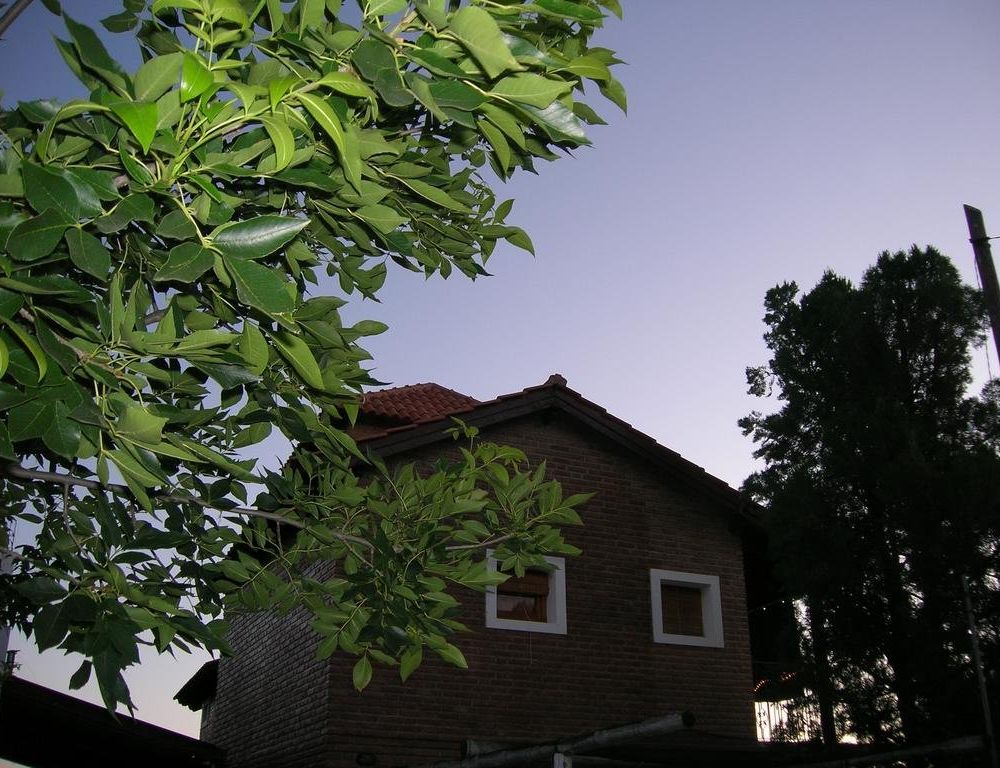 Outdoor Pictures 22