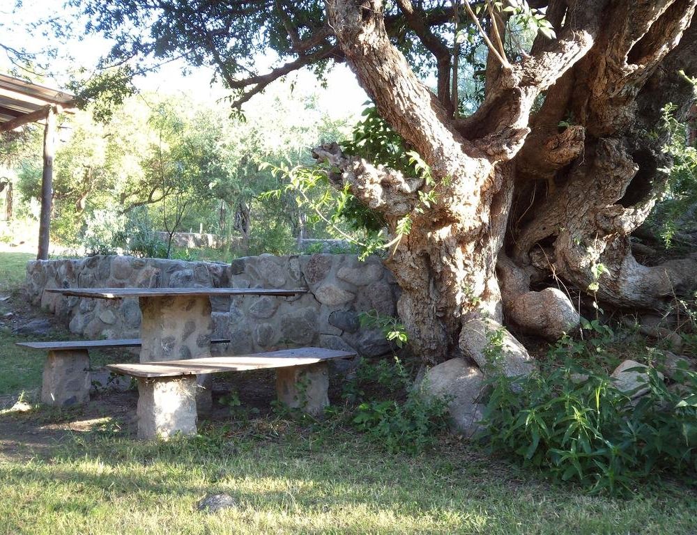 Outdoor Pictures 15