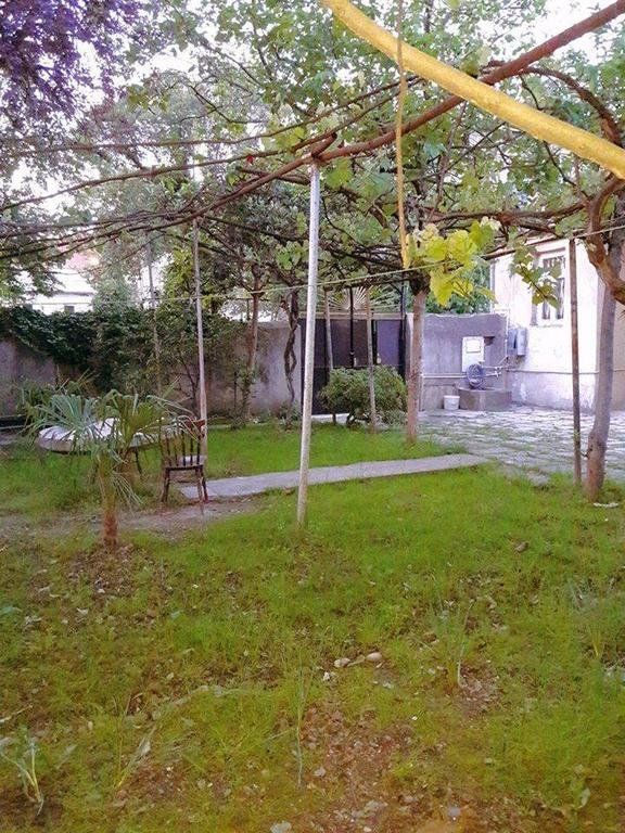 Outdoor Pictures 23