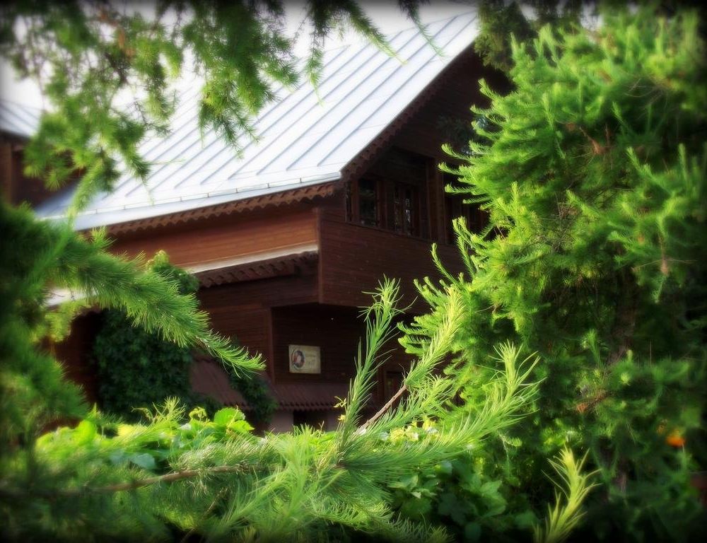Outdoor Pictures 24