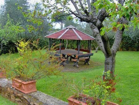 Outdoor Pictures 9