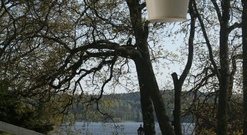 Outdoor Pictures 8