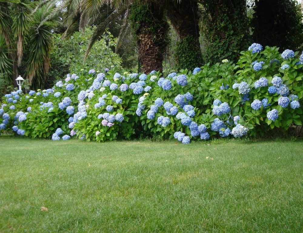 Outdoor Pictures 10