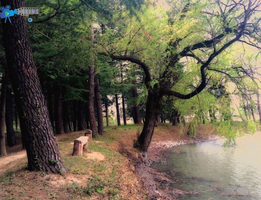 Outdoor Pictures 22