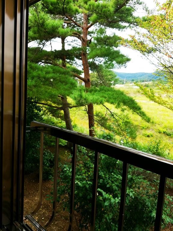 Outdoor Pictures 22
