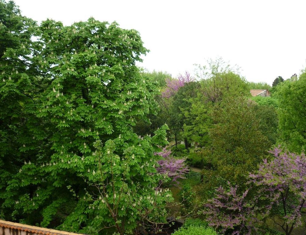 Outdoor Pictures 23