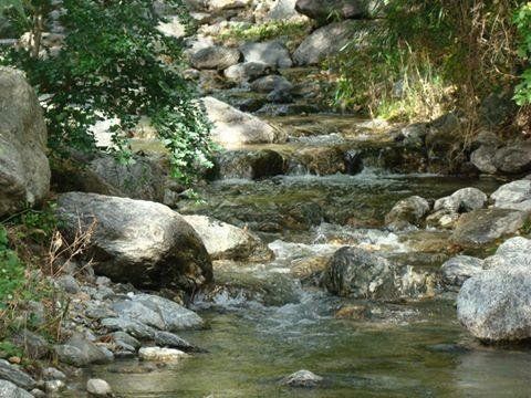 Outdoor Pictures 9