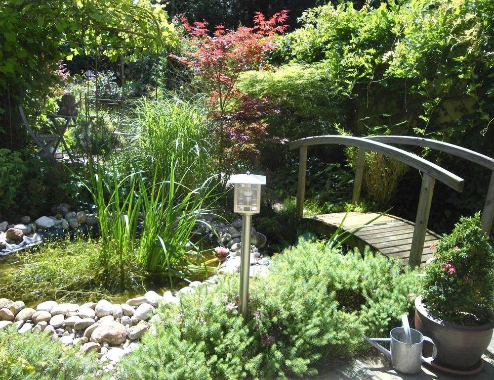 Outdoor Pictures 21