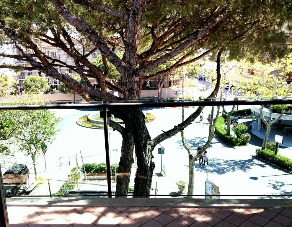 Outdoor Pictures 1