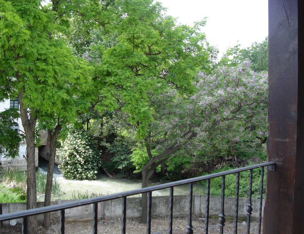 Outdoor Pictures 17