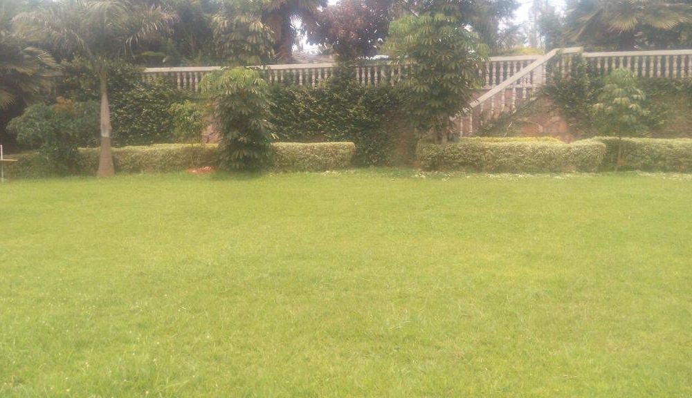 Outdoor Pictures 5