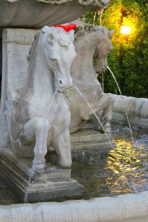 Outdoor Pictures 11