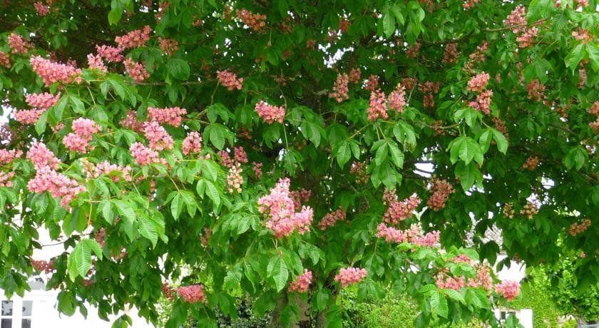 Outdoor Pictures 17