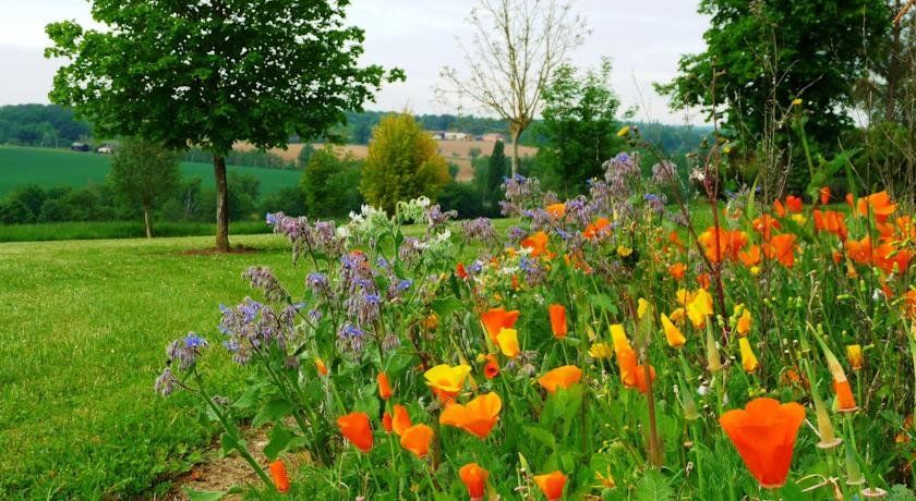 Outdoor Pictures 20