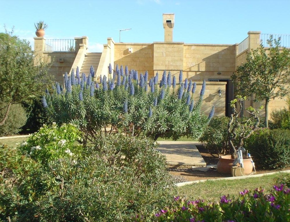 Outdoor Pictures 5