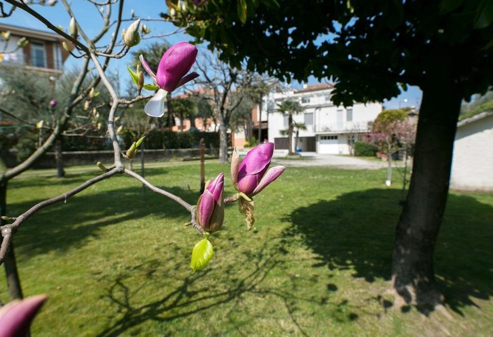 Outdoor Pictures 20