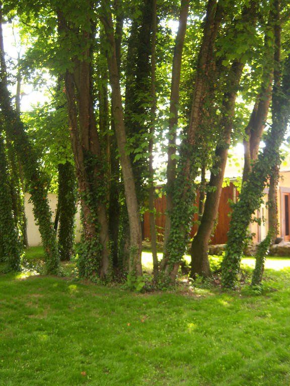 Outdoor Pictures 7