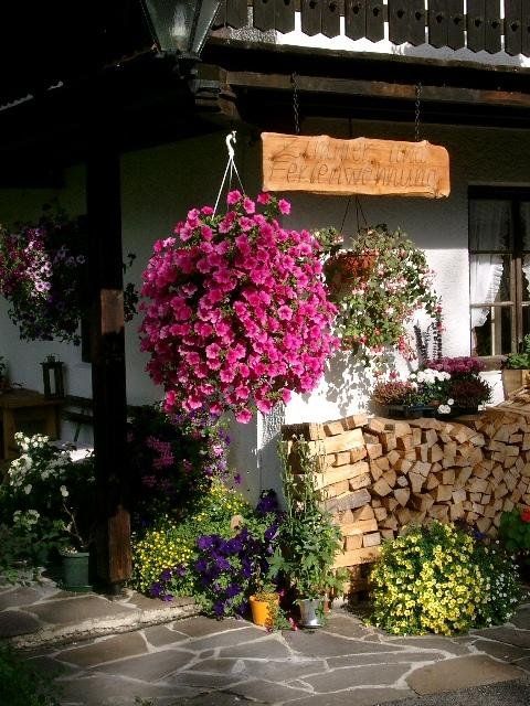 Outdoor Pictures 8
